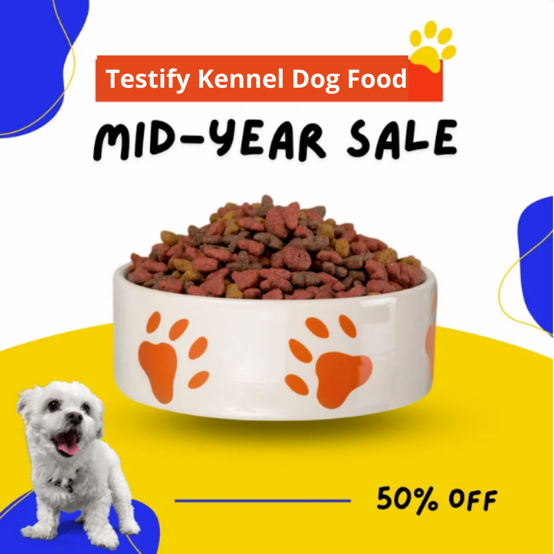 best dog food store