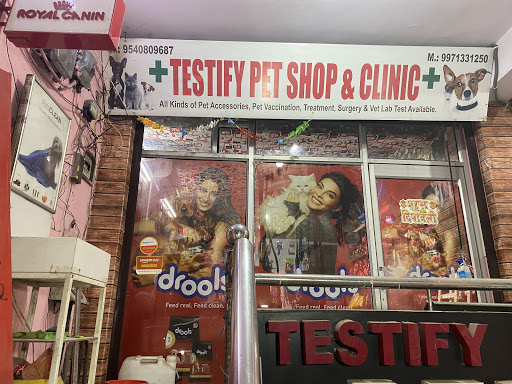 Testify Pet Shop